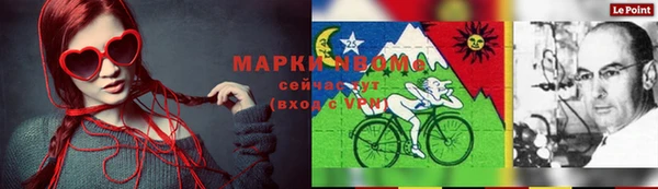 spice Аркадак