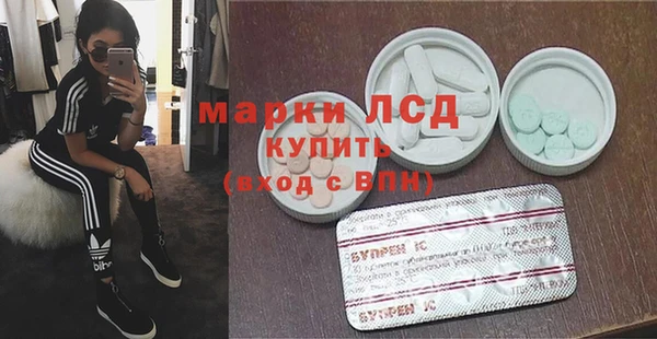 spice Аркадак