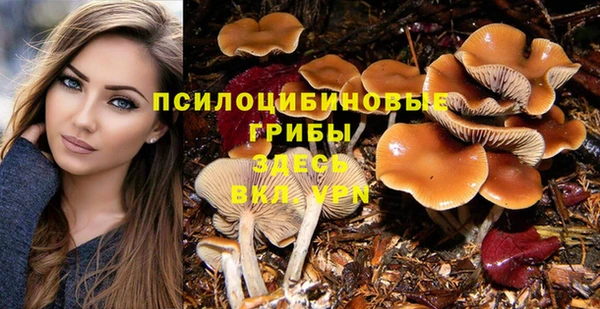 mix Арсеньев