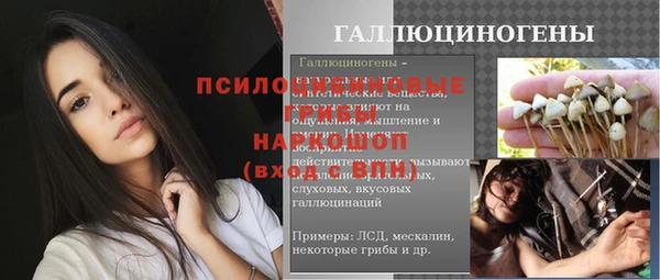 mix Арсеньев