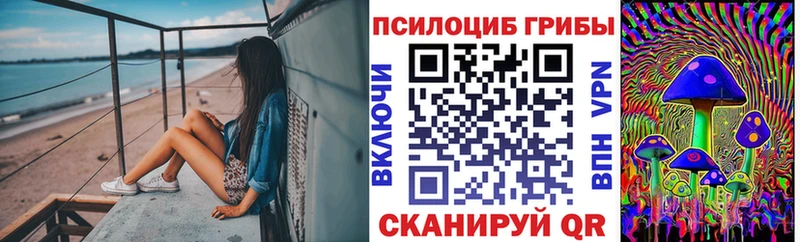 shop Telegram  Фрязино  Галлюциногенные грибы GOLDEN TEACHER 
